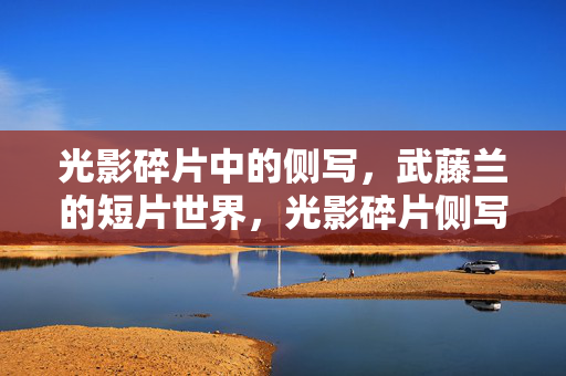 光影碎片中的侧写,武藤兰的短片世界,光影碎片侧写,武藤兰的短片世界