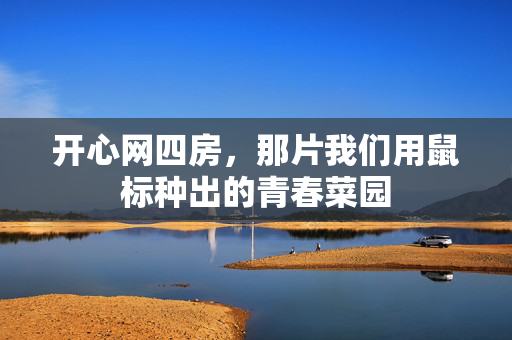 开心网四房,那片我们用鼠标种出的青春菜园