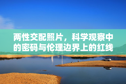 两性交配照片,科学观察中的密码与伦理边界上的红线,两性交配照片,科学观察的密码与伦理红线