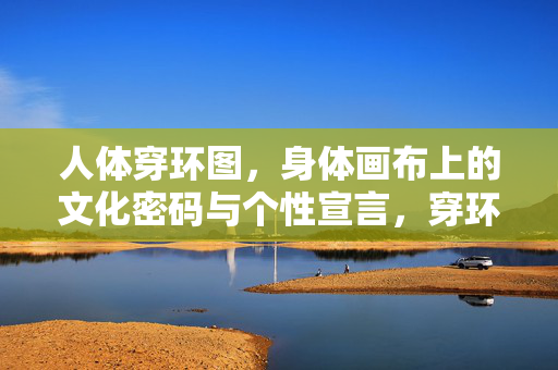 人体穿环图,身体画布上的文化密码与个性宣言,穿环,身体画布上的文化密码与个性宣言