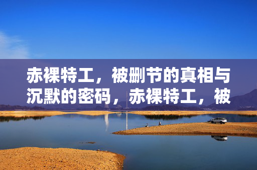 赤裸特工,被删节的真相与沉默的密码,赤裸特工,被删节的真相与沉默密码