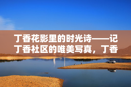 丁香花影里的时光诗——记丁香社区的唯美写真,丁香花影里的时光诗——社区唯美写真