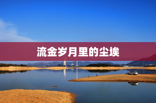 流金岁月里的尘埃