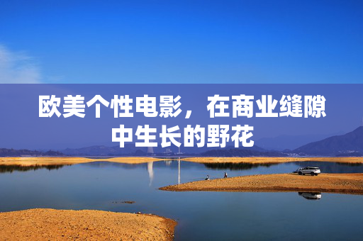 欧美个性电影,在商业缝隙中生长的野花
