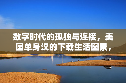 数字时代的孤独与连接,美国单身汉的下载生活图景,数字时代的连接与孤独,美国单身汉的下载生活图景