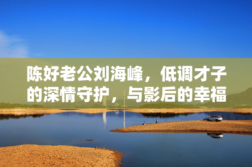 陈好老公刘海峰,低调才子的深情守护,与影后的幸福密码,陈好与刘海峰,低调才子的深情守护,影后幸福密码
