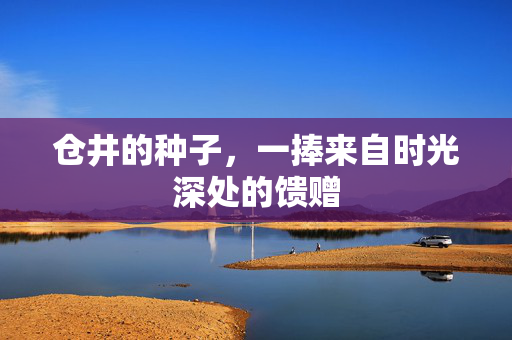 仓井的种子,一捧来自时光深处的馈赠