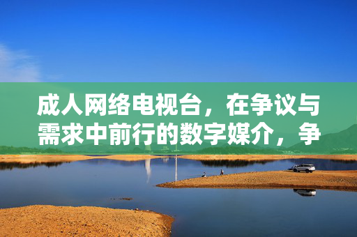 成人网络电视台,在争议与需求中前行的数字媒介,争议与需求交织,成人网络电视台的数字媒介前行之路