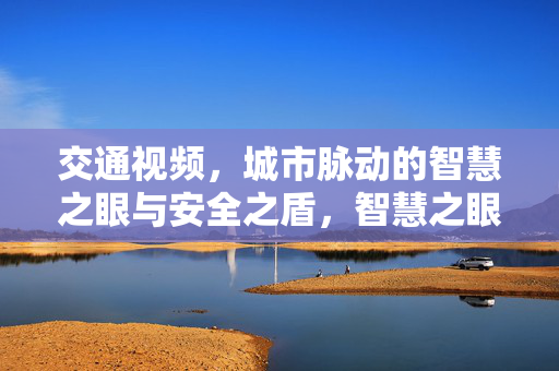 交通视频,城市脉动的智慧之眼与安全之盾,智慧之眼·安全之盾,交通视频守护城市脉动
