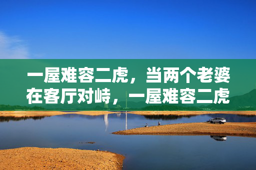 一屋难容二虎,当两个老婆在客厅对峙,一屋难容二虎,两妻客厅对峙