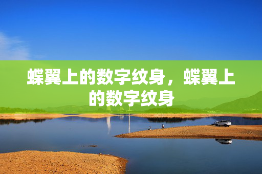 蝶翼上的数字纹身,蝶翼上的数字纹身