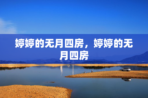 婷婷的无月四房,婷婷的无月四房