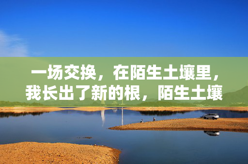 一场交换,在陌生土壤里,我长出了新的根,陌生土壤,交换新根
