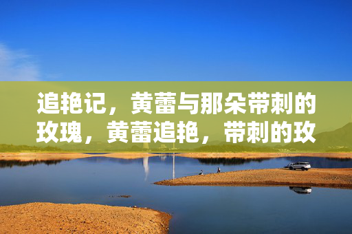 追艳记,黄蕾与那朵带刺的玫瑰,黄蕾追艳,带刺的玫瑰