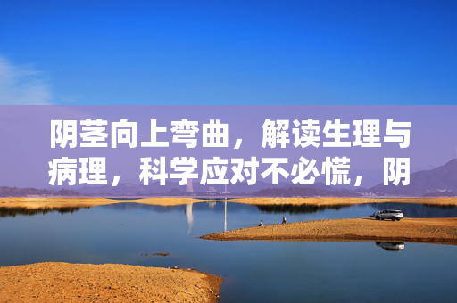 阴茎向上弯曲,解读生理与病理,科学应对不必慌,阴茎向上弯曲,科学解读生理病理,从容应对不必慌