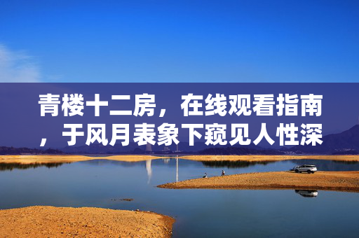 青楼十二房,在线观看指南,于风月表象下窥见人性深渊,青楼十二房,于风月表象窥见人性深渊