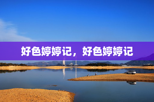 好色婷婷记,好色婷婷记