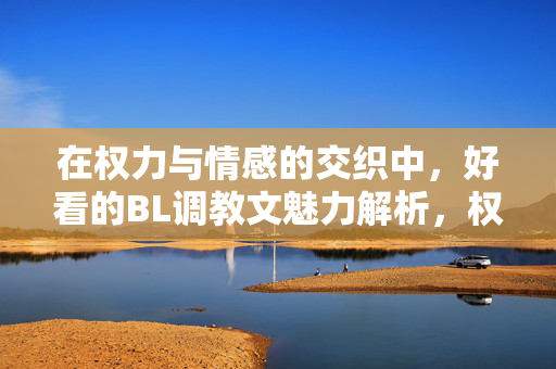 在权力与情感的交织中,好看的BL调教文魅力解析,权力与情感交织,BL调教文的魅力解析