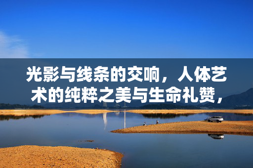 光影与线条的交响,人体艺术的纯粹之美与生命礼赞,光影与线条的交响,人体艺术的纯粹生命礼赞