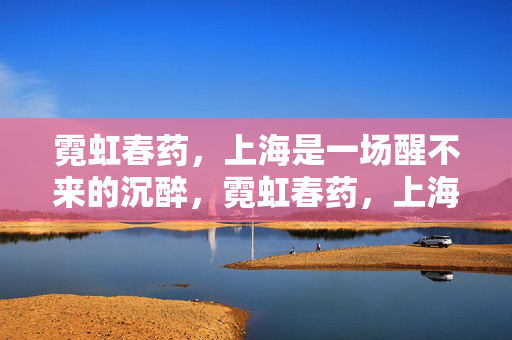 霓虹春药,上海是一场醒不来的沉醉,霓虹春药,上海一场不醒的沉醉