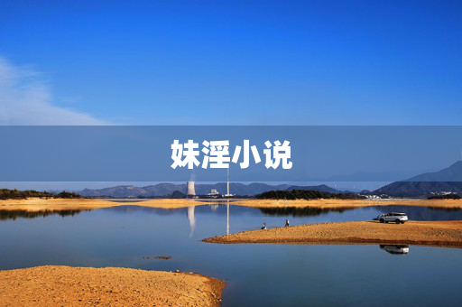妹淫小说