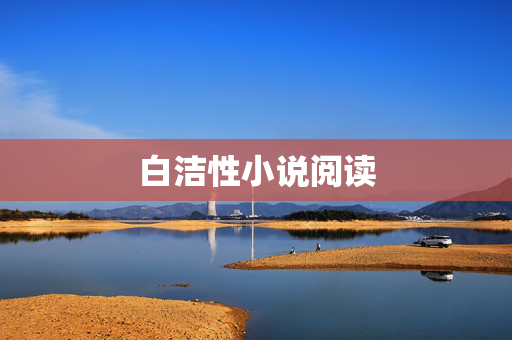 白洁性小说阅读