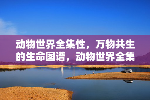 动物世界全集性,万物共生的生命图谱,动物世界全集,万物共生的生命图谱