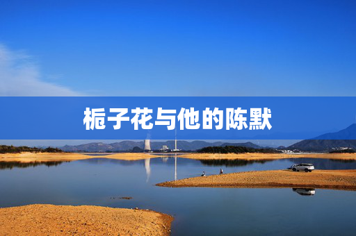 栀子花与他的陈默