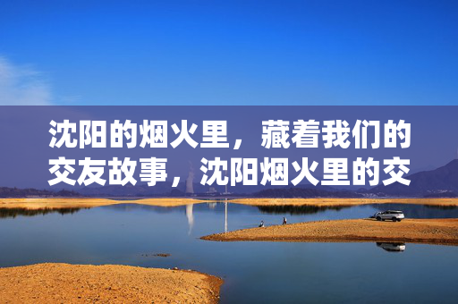 沈阳的烟火里,藏着我们的交友故事,沈阳烟火里的交友故事