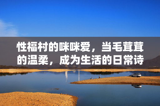 性福村的咪咪爱,当毛茸茸的温柔,成为生活的日常诗,毛茸茸的温柔,咪咪爱的日常诗