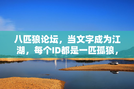 八匹狼论坛,当文字成为江湖,每个ID都是一匹孤狼,八匹狼论坛,文字为江湖,ID化孤狼