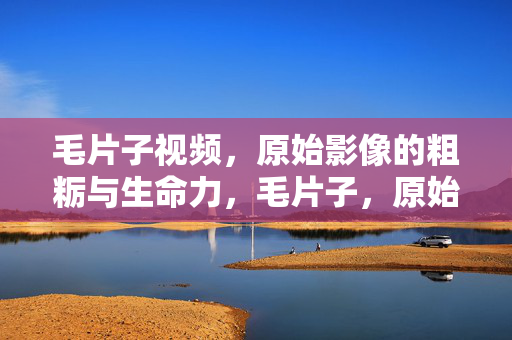 毛片子视频,原始影像的粗粝与生命力,毛片子,原始影像的粗粝生命力