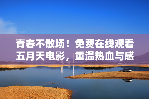 青春不散场!免费在线观看五月天电影,重温热血与感动,免费在线观看五月天电影,青春不散场,重温热血与感动