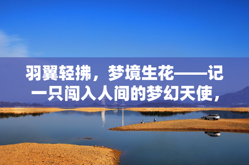 羽翼轻拂,梦境生花——记一只闯入人间的梦幻天使,羽翼轻拂梦境生花,天使入凡