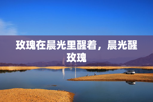 玫瑰在晨光里醒着,晨光醒玫瑰