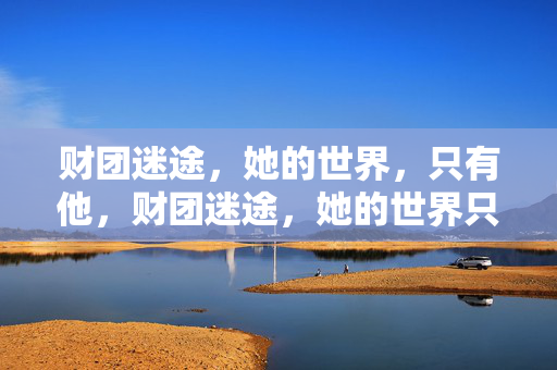 财团迷途,她的世界,只有他,财团迷途,她的世界只剩他
