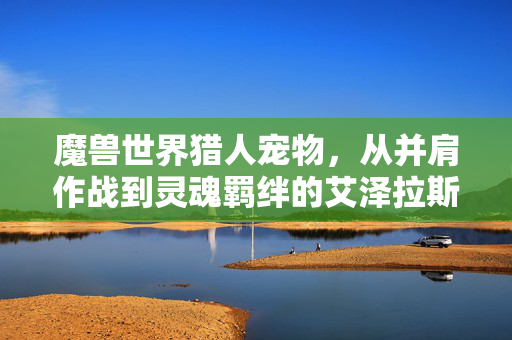 魔兽世界猎人宠物,从并肩作战到灵魂羁绊的艾泽拉斯伙伴,艾泽拉斯羁绊,猎人宠物的并肩作战与灵魂相伴