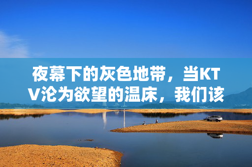 夜幕下的灰色地带,当KTV沦为欲望的温床,我们该如何警惕?KTV欲望温床,警惕夜幕下的灰色地带