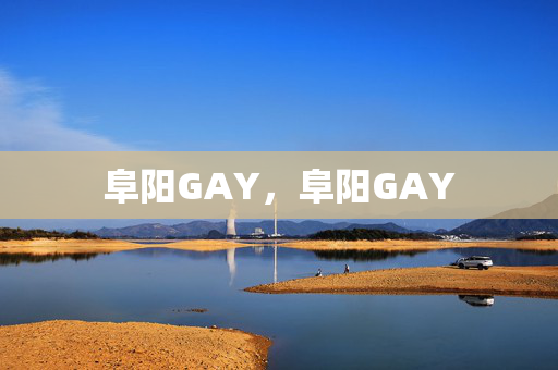 阜阳GAY,阜阳GAY