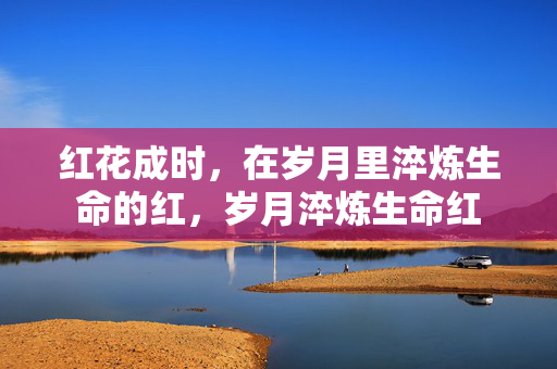 红花成时,在岁月里淬炼生命的红,岁月淬炼生命红