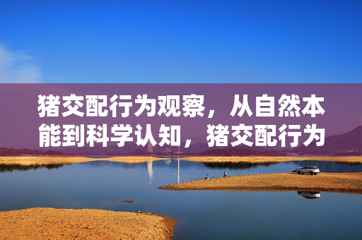 猪交配行为观察,从自然本能到科学认知,猪交配行为,从自然本能到科学认知