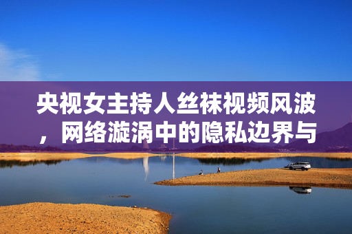 央视女主持人丝袜视频风波,网络漩涡中的隐私边界与公众人物形象审视