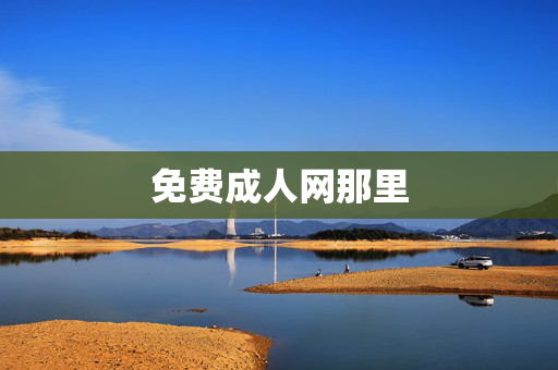 免费成人网那里