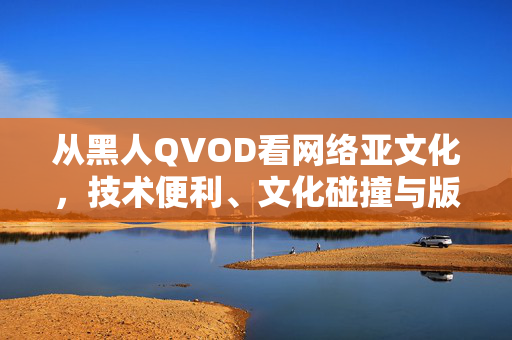 从黑人QVOD看网络亚文化，技术便利、文化碰撞与版权时代的回响，黑人QVOD，网络亚文化中的技术便利、文化碰撞与版权回响