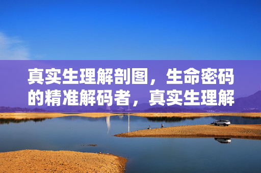 真实生理解剖图，生命密码的精准解码者，真实生理解剖图，生命密码的精准解码者