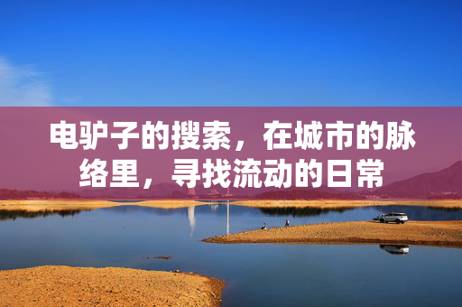 电驴子的搜索，在城市的脉络里，寻找流动的日常