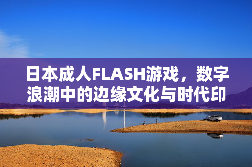 日本成人FLASH游戏，数字浪潮中的边缘文化与时代印记