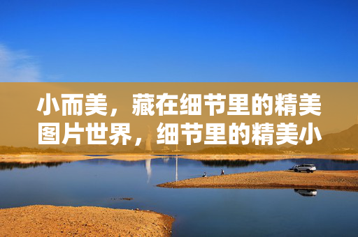小而美,藏在细节里的精美图片世界,细节里的精美小世界