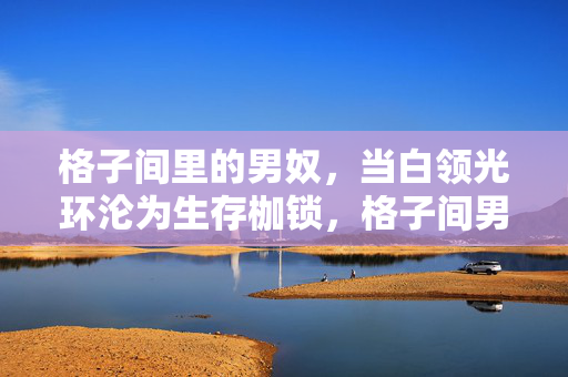 格子间里的男奴,当白领光环沦为生存枷锁,格子间男奴,白领光环沦为生存枷锁