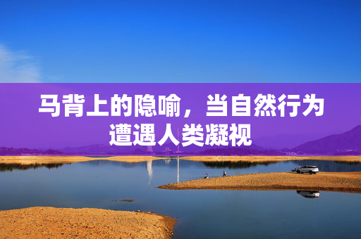 详细阅读:马背上的隐喻,当自然行为遭遇人类凝视 马背上的隐喻,当自然行为遭遇人类凝视
